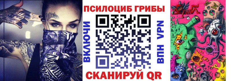 где продают   Унеча  Псилоцибиновые грибы прущие грибы 